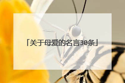 关于母爱的名言30条