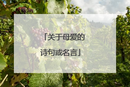 关于母爱的诗句或名言