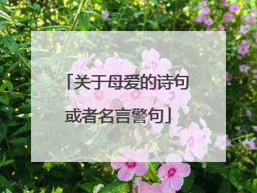 关于母爱的诗句或者名言警句