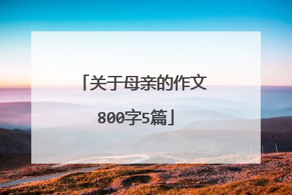 关于母亲的作文800字5篇