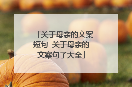 关于母亲的文案短句 关于母亲的文案句子大全