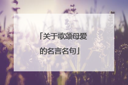 关于歌颂母爱的名言名句