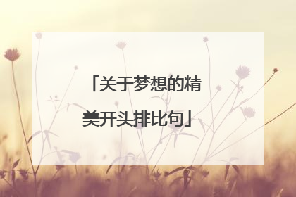 关于梦想的精美开头排比句