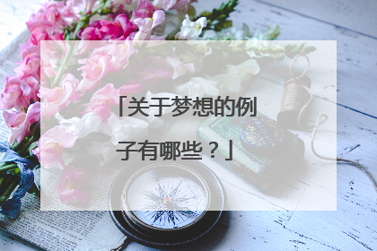 关于梦想的例子有哪些?