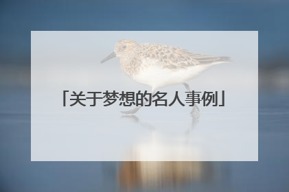 关于梦想的名人事例