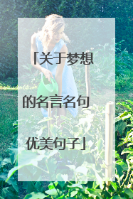 关于梦想的名言名句优美句子