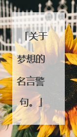 关于梦想的名言警句。