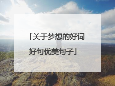 关于梦想的好词好句优美句子