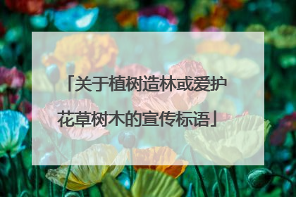 关于植树造林或爱护花草树木的宣传标语
