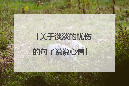 关于淡淡的忧伤的句子说说心情