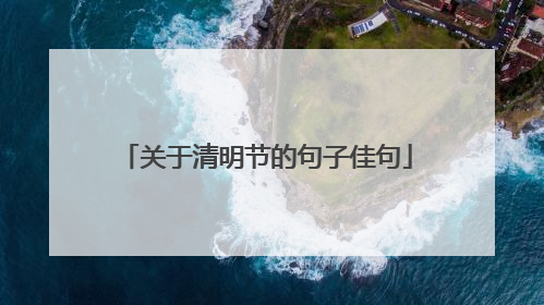 关于清明节的句子佳句
