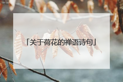 关于荷花的禅语诗句