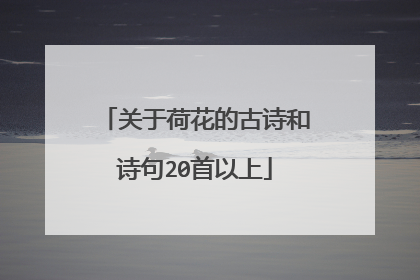 关于荷花的古诗和诗句20首以上