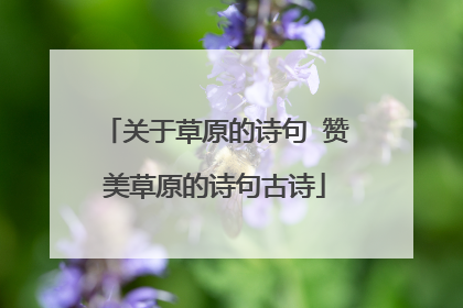 关于草原的诗句 赞美草原的诗句古诗