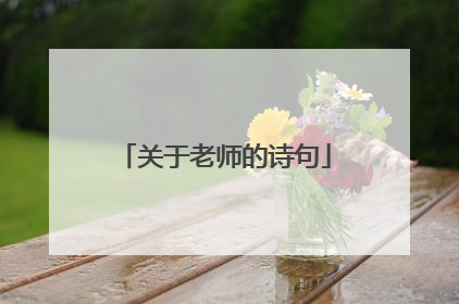 关于老师的诗句