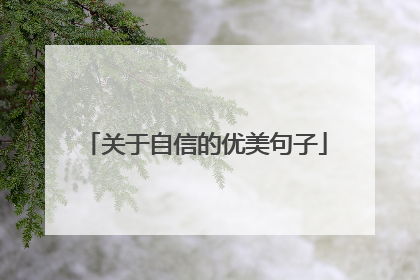 关于自信的优美句子