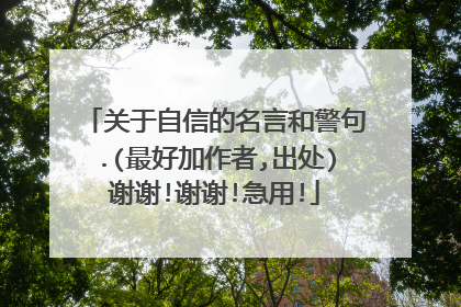 关于自信的名言和警句.(最好加作者,出处)谢谢!谢谢!急用!