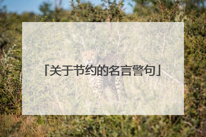 关于节约的名言警句