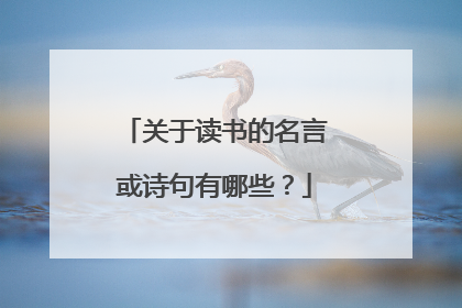 关于读书的名言或诗句有哪些?