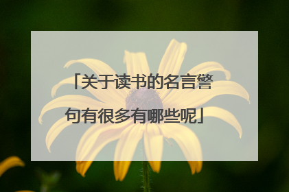 关于读书的名言警句有很多有哪些呢