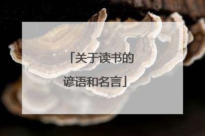 关于读书的谚语和名言