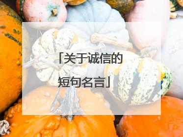 关于诚信的短句名言