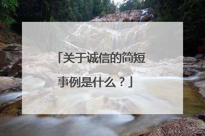 关于诚信的简短事例是什么?