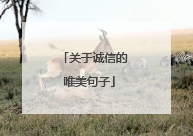 关于诚信的唯美句子