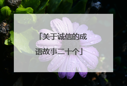 关于诚信的成语故事二十个