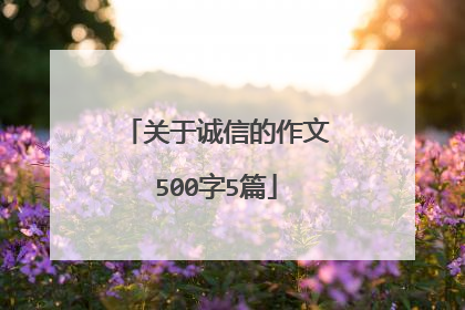 关于诚信的作文500字5篇