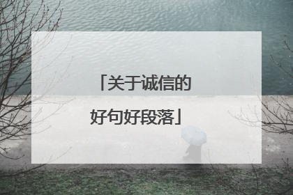 关于诚信的好句好段落