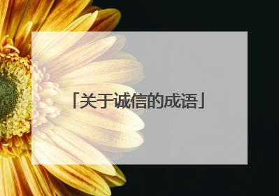 关于诚信的成语