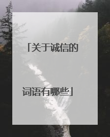 关于诚信的词语有哪些