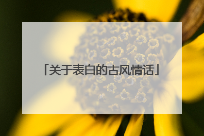 关于表白的古风情话