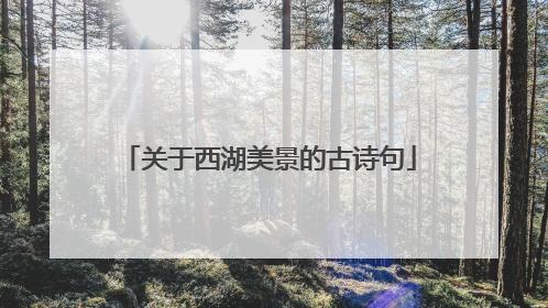 关于西湖美景的古诗句