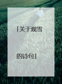 关于观雪的诗句