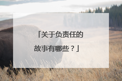 关于负责任的故事有哪些?