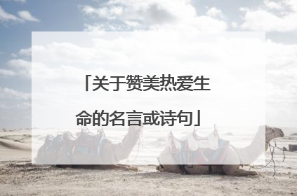 关于赞美热爱生命的名言或诗句