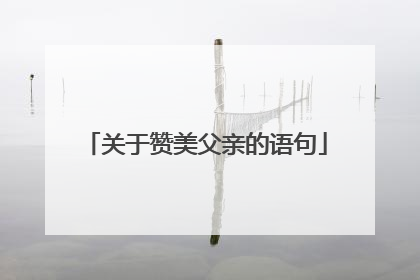 关于赞美父亲的语句