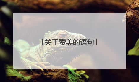 关于赞美的语句