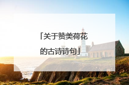 关于赞美荷花的古诗诗句