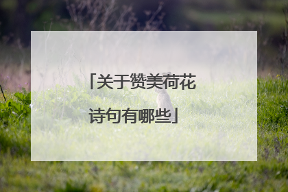 关于赞美荷花诗句有哪些
