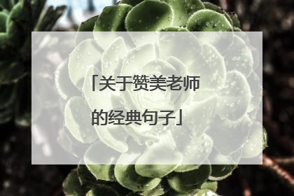 关于赞美老师的经典句子