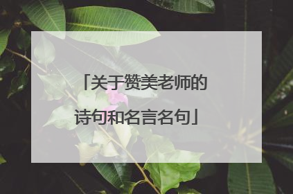 关于赞美老师的诗句和名言名句