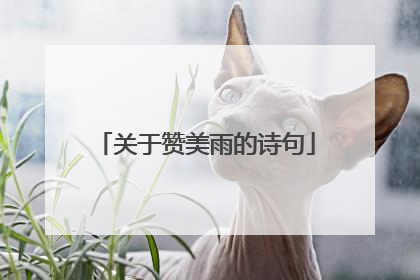 关于赞美雨的诗句