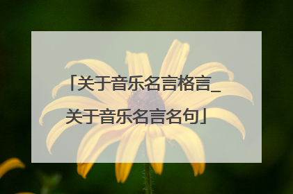 关于音乐名言格言_关于音乐名言名句