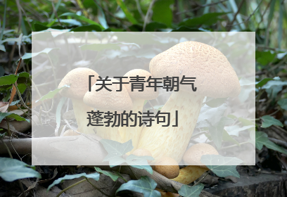 关于青年朝气蓬勃的诗句