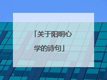 关于阳明心学的诗句