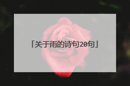 关于雨的诗句20句