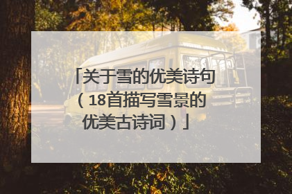 关于雪的优美诗句(18首描写雪景的优美古诗词)
